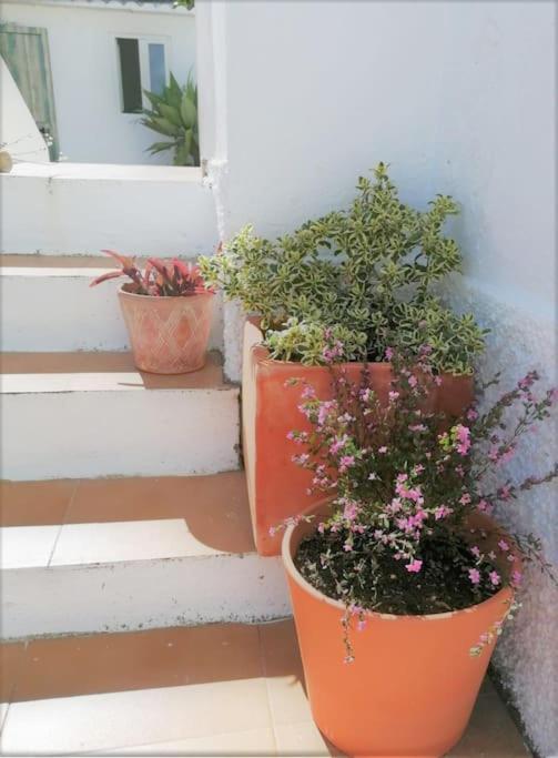 Cozy Apartment With Private Courtyard Barcarena Kültér fotó
