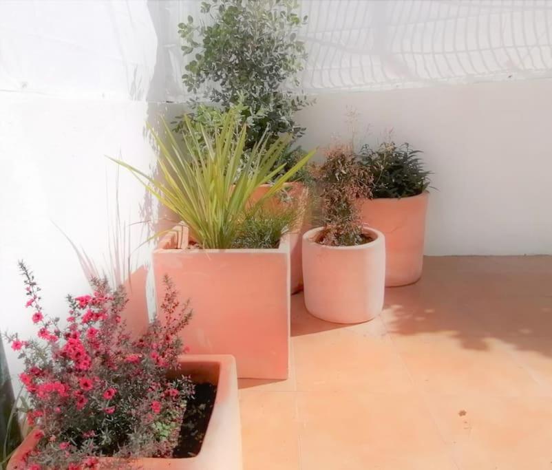 Cozy Apartment With Private Courtyard Barcarena Kültér fotó